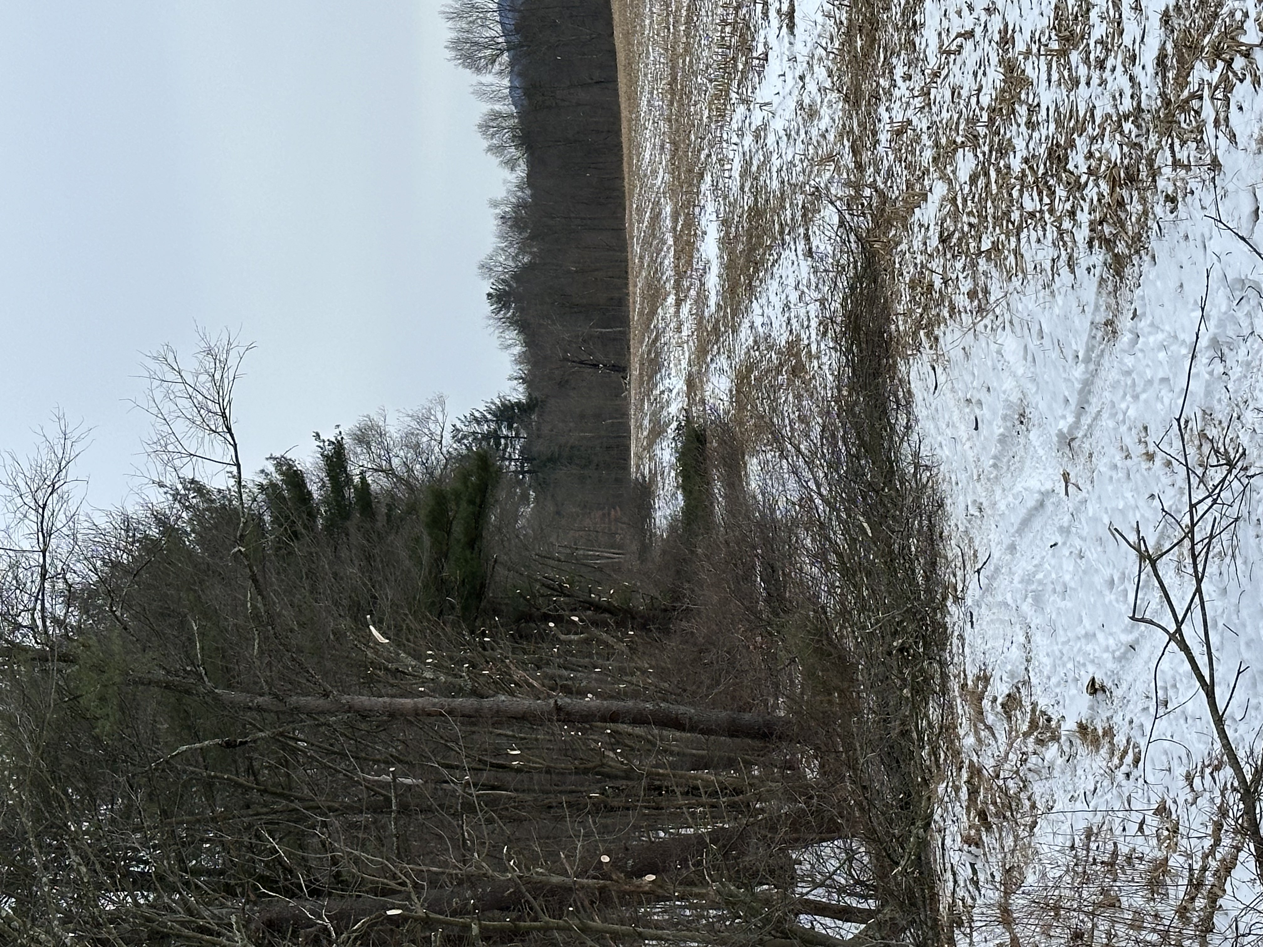 Project 1 image 3